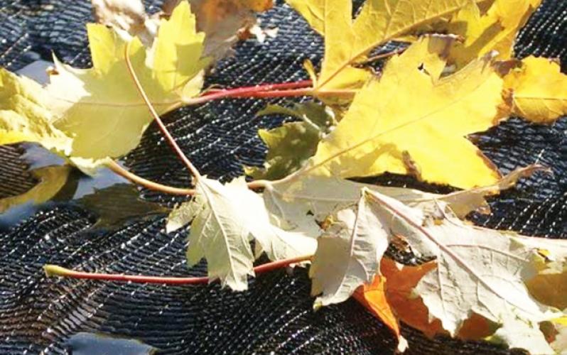 Polyethylene Material Swimming Pool Leaf Net Cover